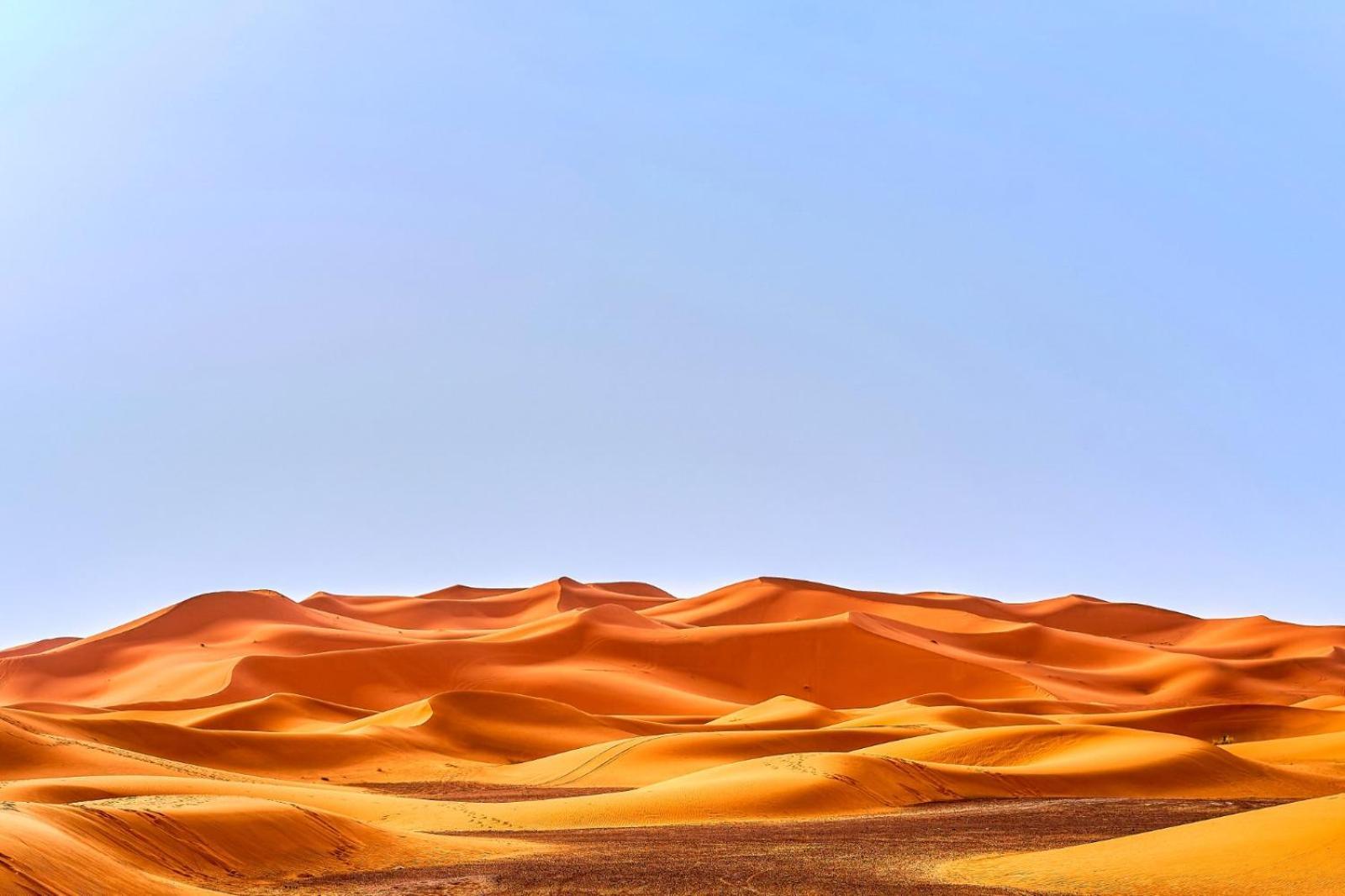 Young Luxury Camp Merzouga Eksteriør billede