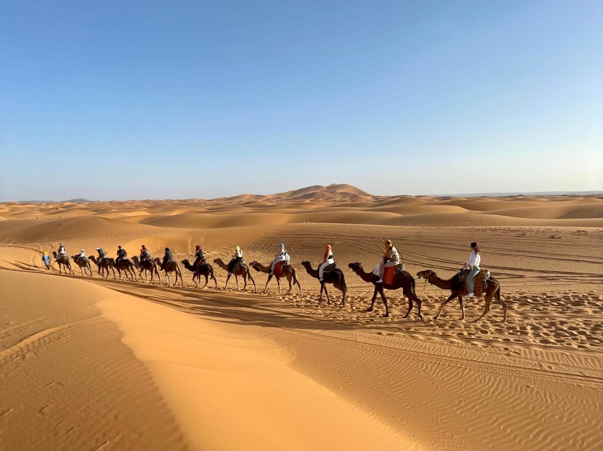 Young Luxury Camp Merzouga Eksteriør billede