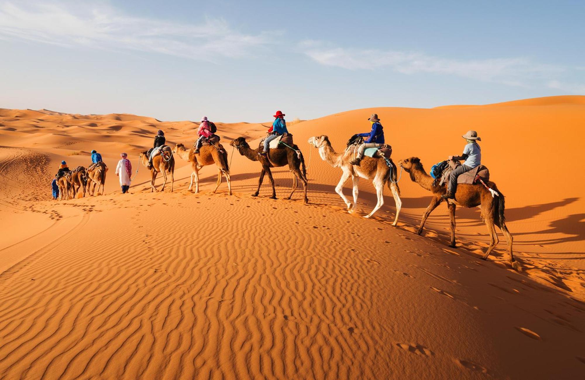 Young Luxury Camp Merzouga Eksteriør billede